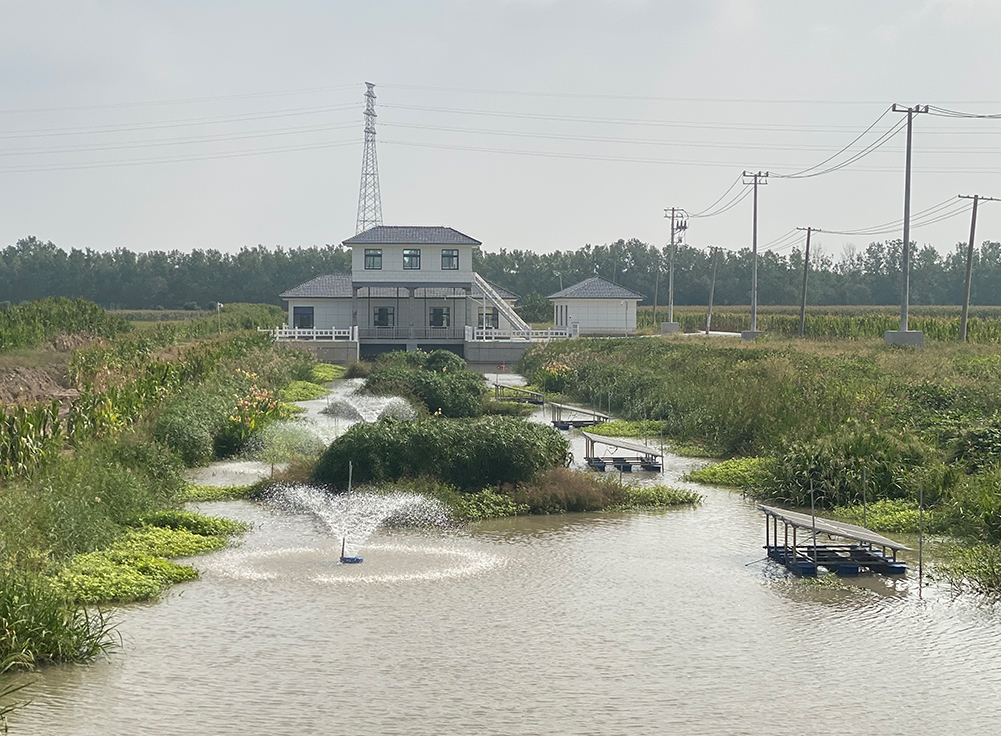 1727601838680436.jpg 33333.jpg